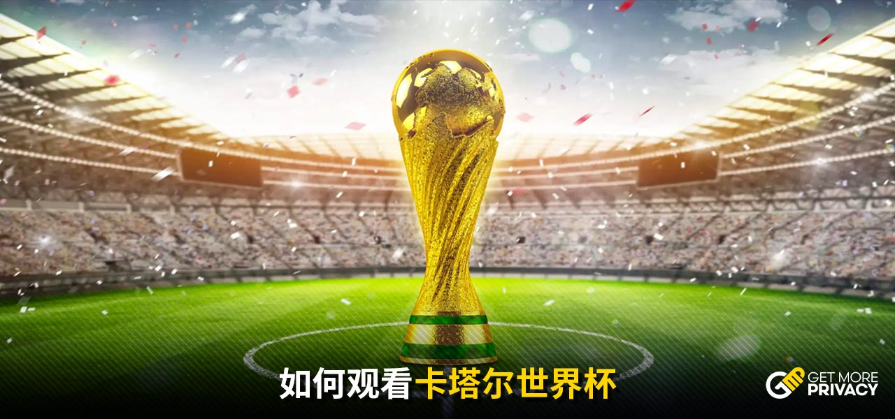 政府的大力