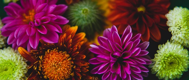 申京和弗雷 申京和弗雷