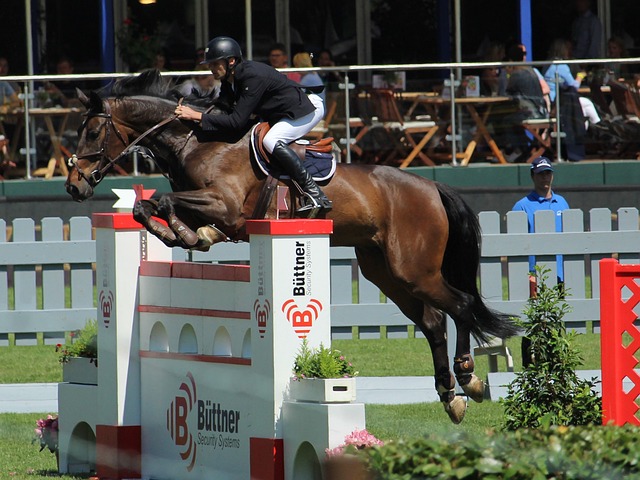 国家足球队 国家足球队