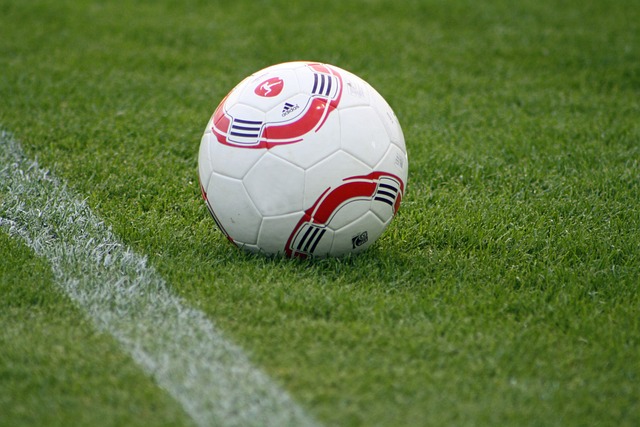 换上适合自 换上适合自