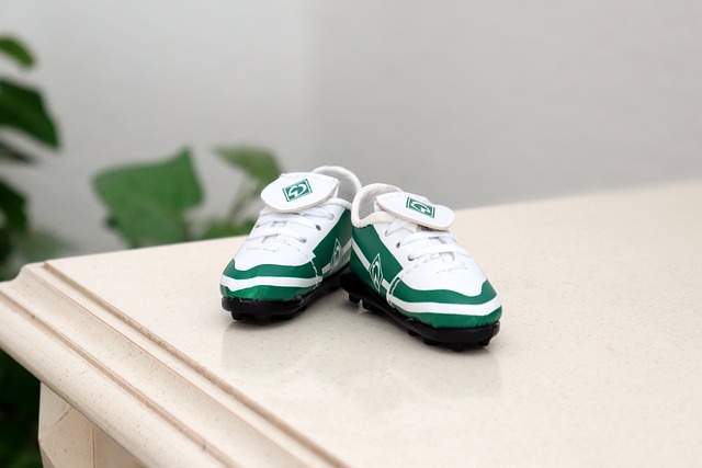 今年的全锦 今年的全锦