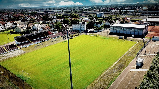 經典賽／資格賽的速度加12強的長打 最強中華隊打線已現雛形.